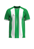 Medellin Match Jersey Green